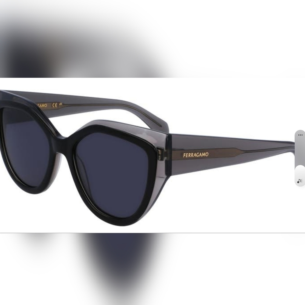 Salvatore Ferragamo Classic Logo 53mm Cat Eye Sunglasses W/ Case